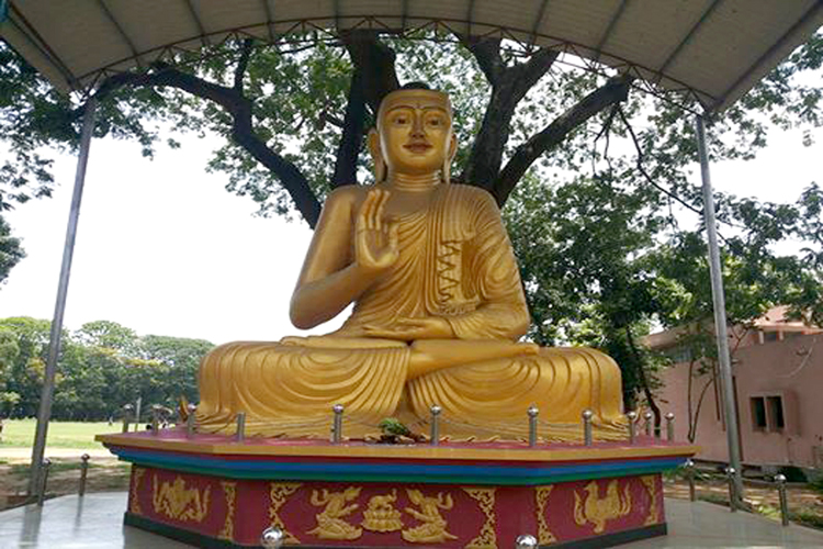 বিশেষ অনুষ্ঠান ‘আলোর পথের যাত্রী’ - image