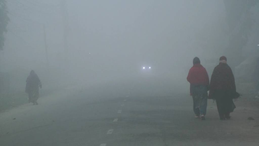 ১৩ জেলায় বইছে শৈত্যপ্রবাহ - image