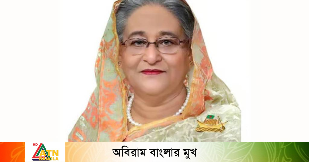 স্মার্ট বাংলাদেশ বিনির্মাণে আনসার সদস্যদের ভূমিকা পালনের আহ্বান - image
